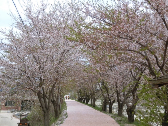 중군성 이미지