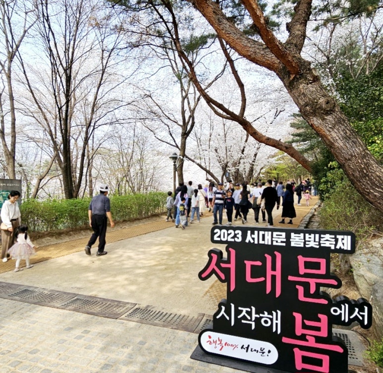 봄빛조명 이미지