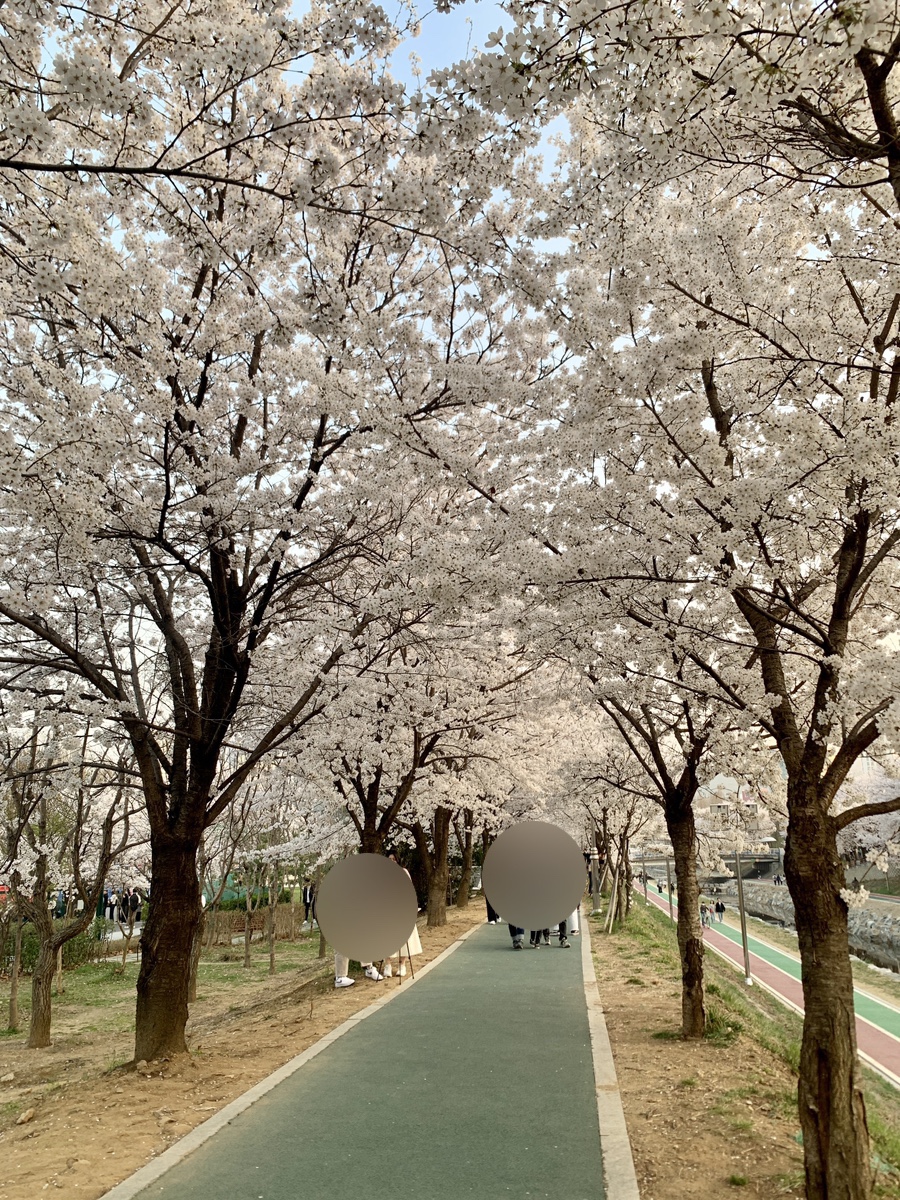 에슬로우도산대로점 이미지