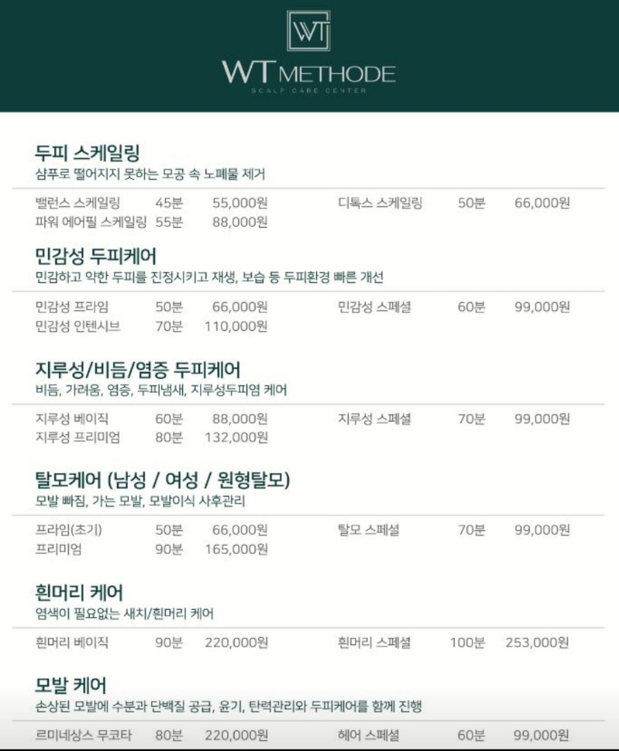 독일WT메소드 이미지