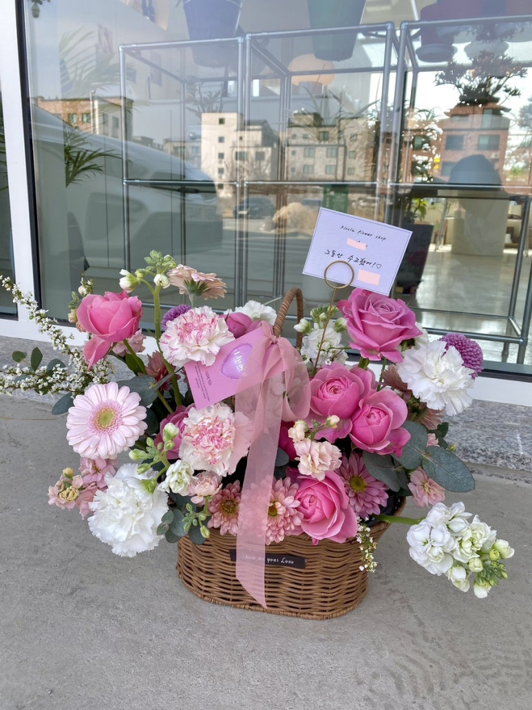 플로시아 이미지