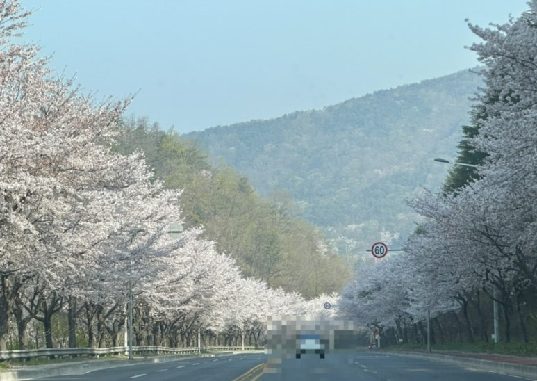 꽃천지휴게소 이미지