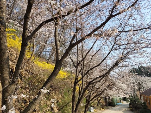 화담펜션 이미지