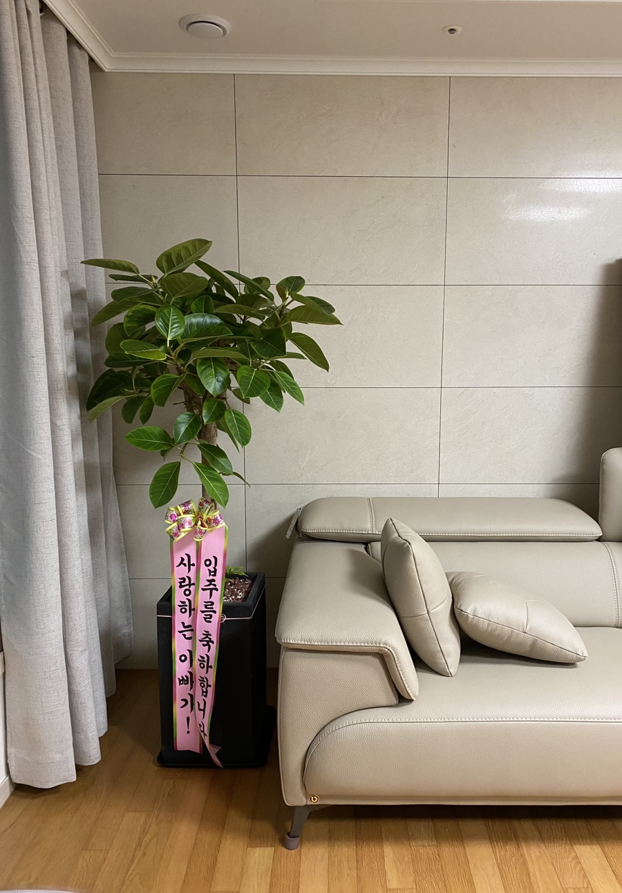 배떡광명 이미지