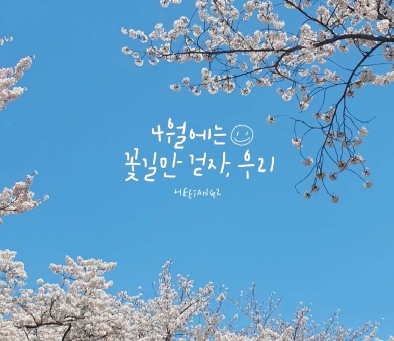 직화짬뽕 전문점 이미지