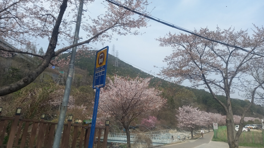 누리카츠 이미지