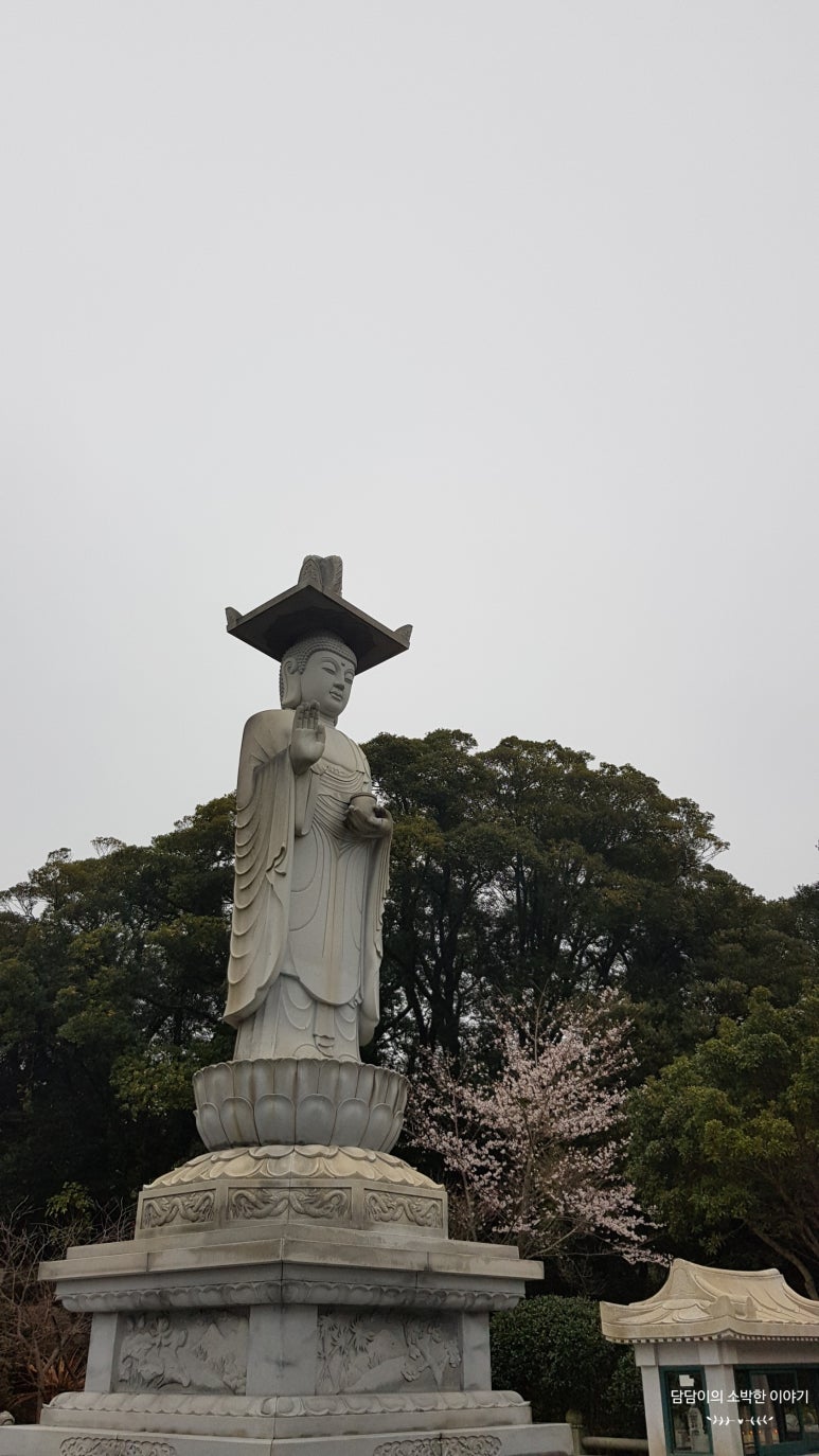 솔한식뷔페 이미지