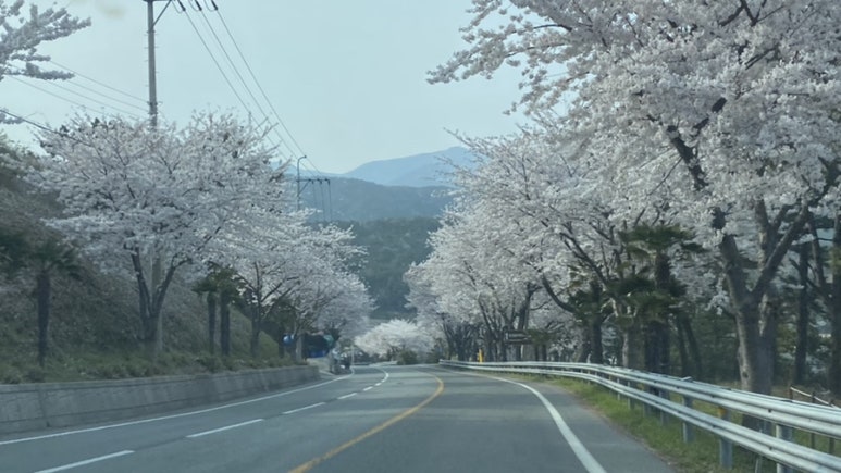 조도호도협동조합 이미지