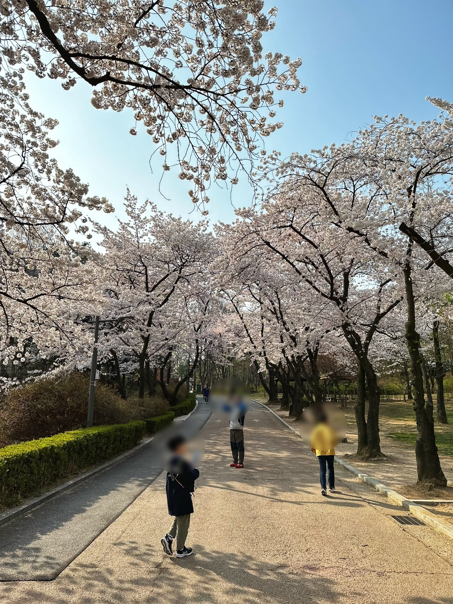 세븐일레븐 어린이대공원후문점 이미지
