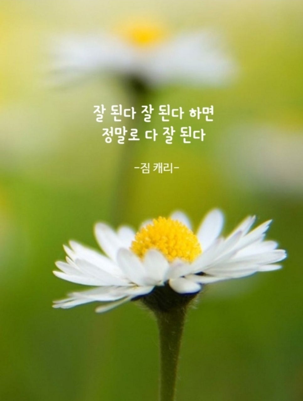 디자인모임 이미지