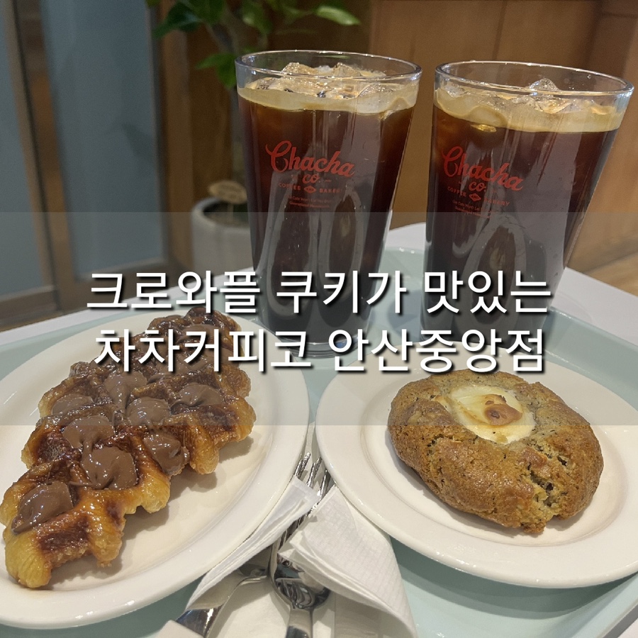 차차커피코안산 이미지