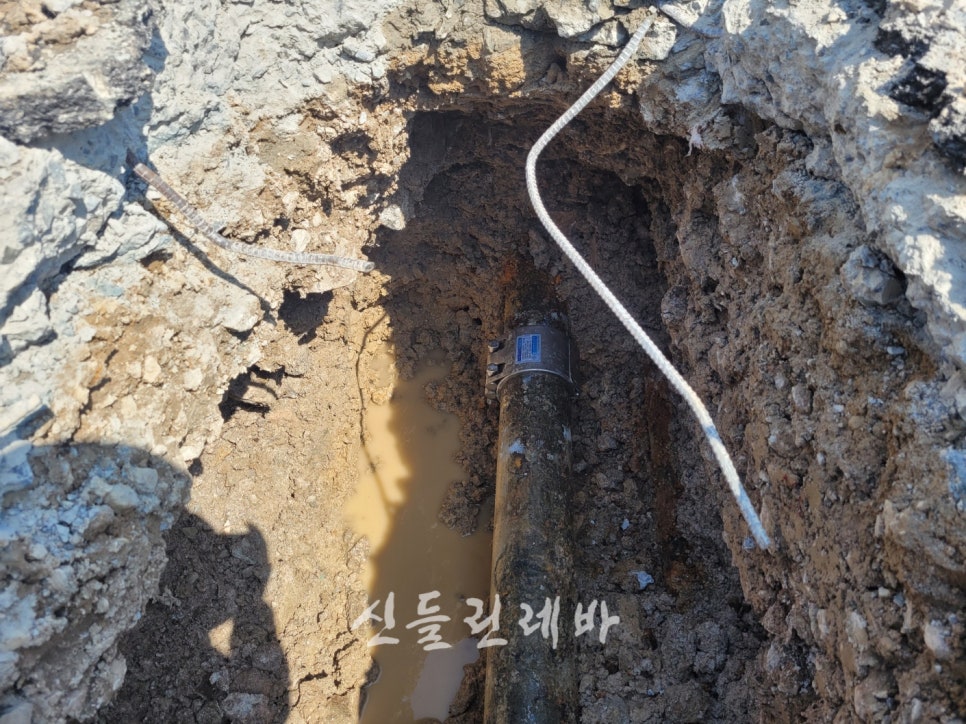 장안수선 이미지