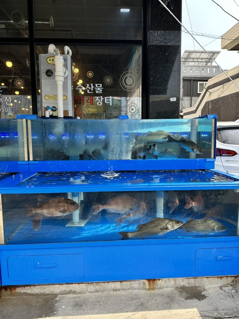 신성회수산 이미지
