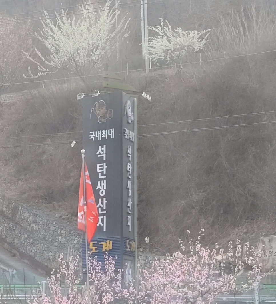 도계칼국수 이미지