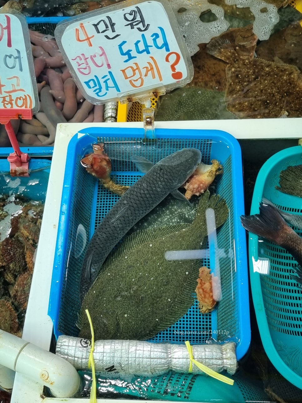 대포항회수산 이미지