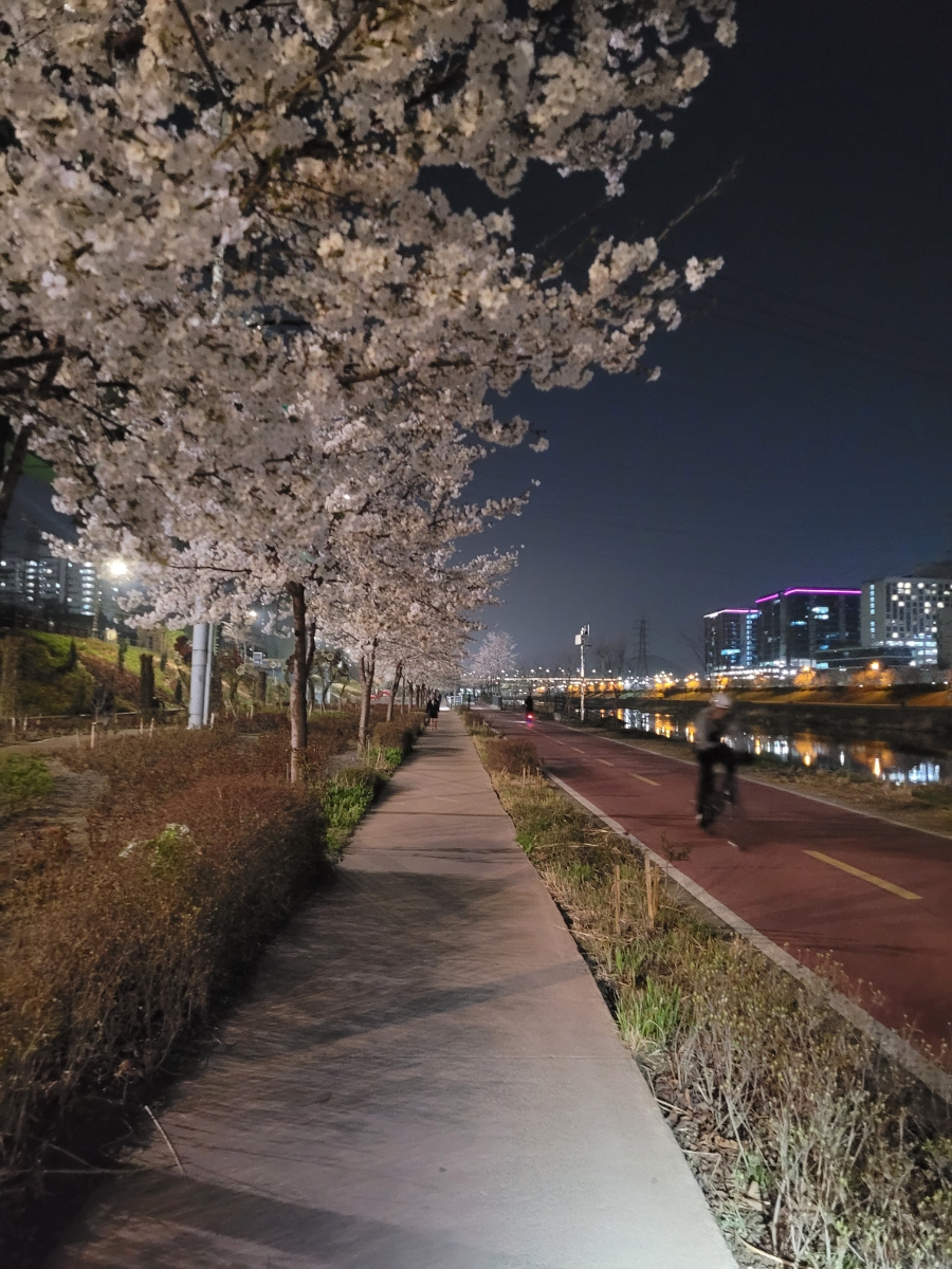 원조국수 이미지