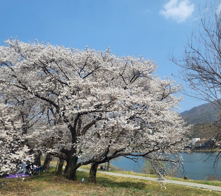 (주)공만치킨 이미지