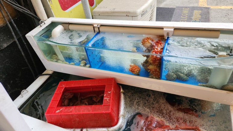 54연탄구이 이미지