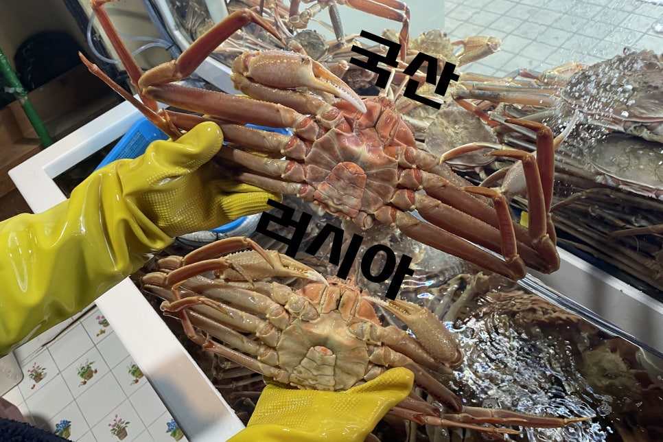 수산명가한창점 이미지