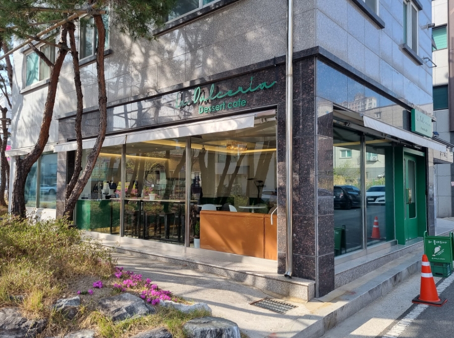 둘세리아 이미지