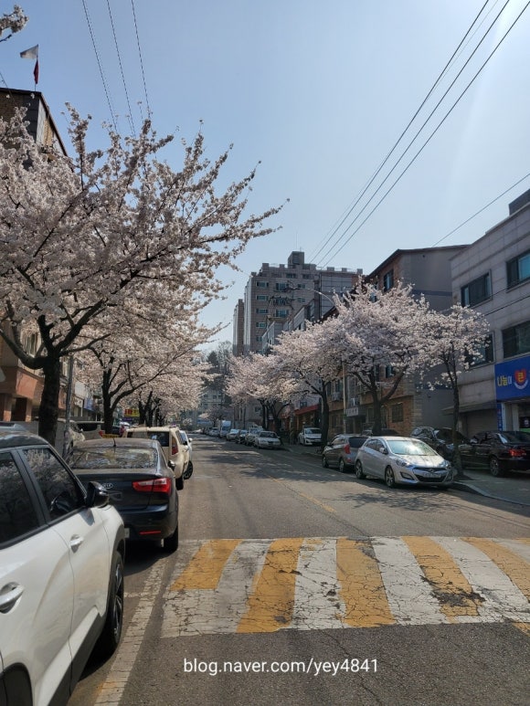 21세기미용실 이미지