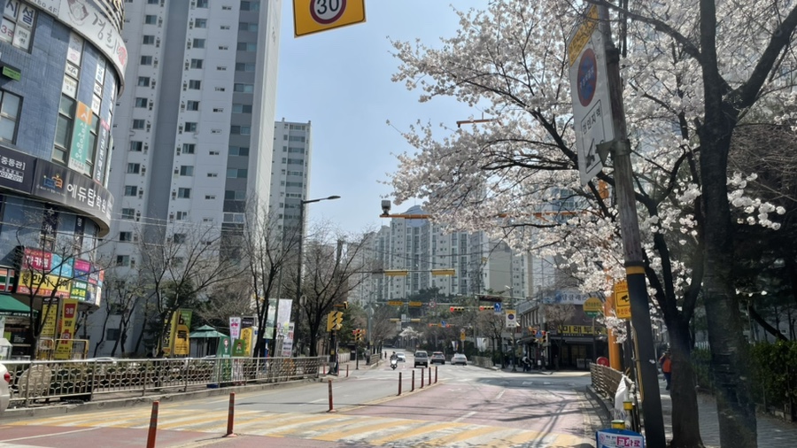 본뜰 이미지