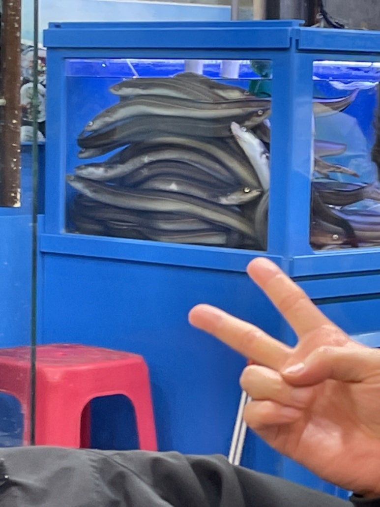 하얀등대이모야 이미지