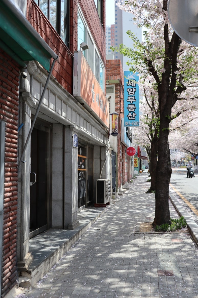 보꾸시루 이미지