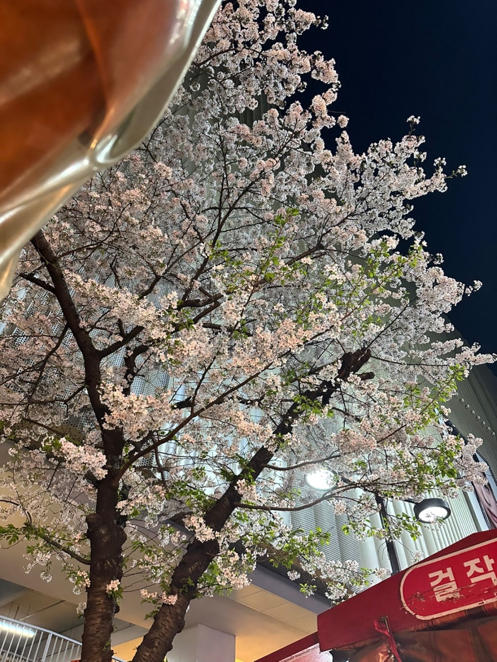 벚꽃포장마차 이미지