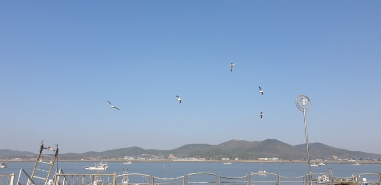 초지호 이미지