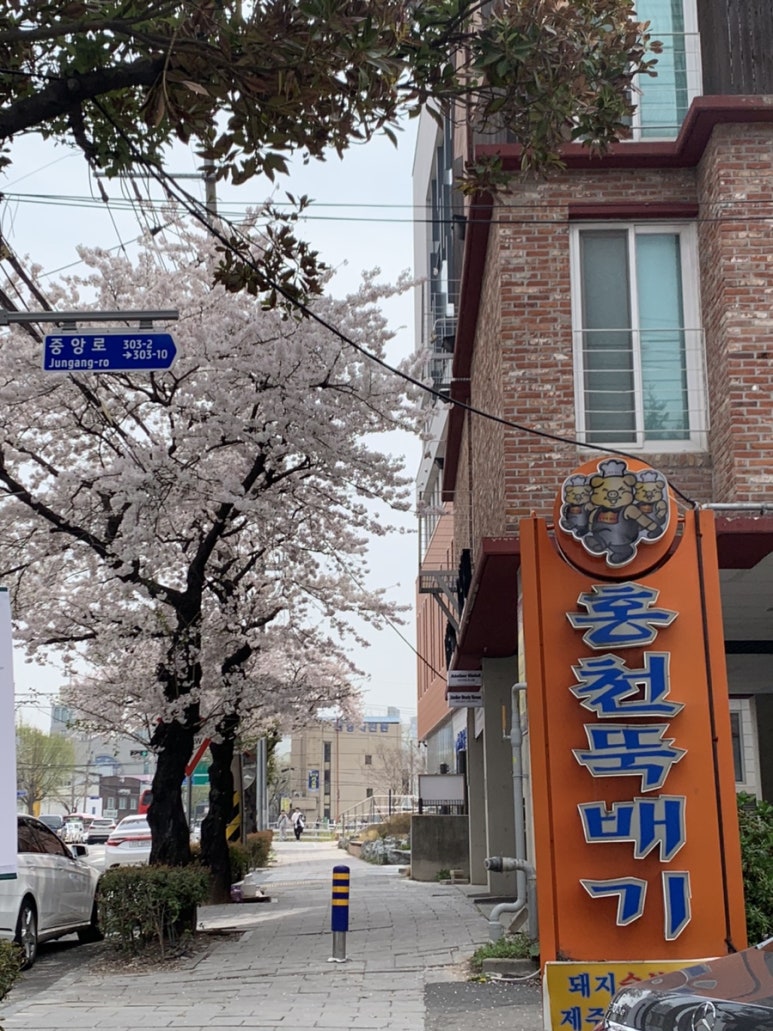 홍천뚝배기 사진 4