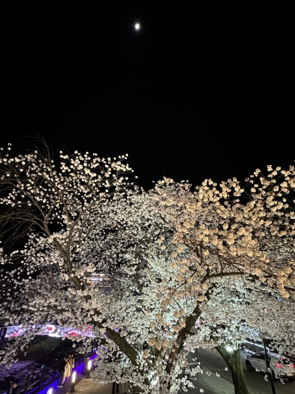 지에스25동학사입구점 이미지