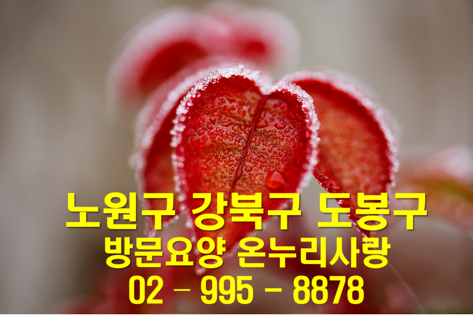 사랑돌봄재가복지센터.복지용구 이미지