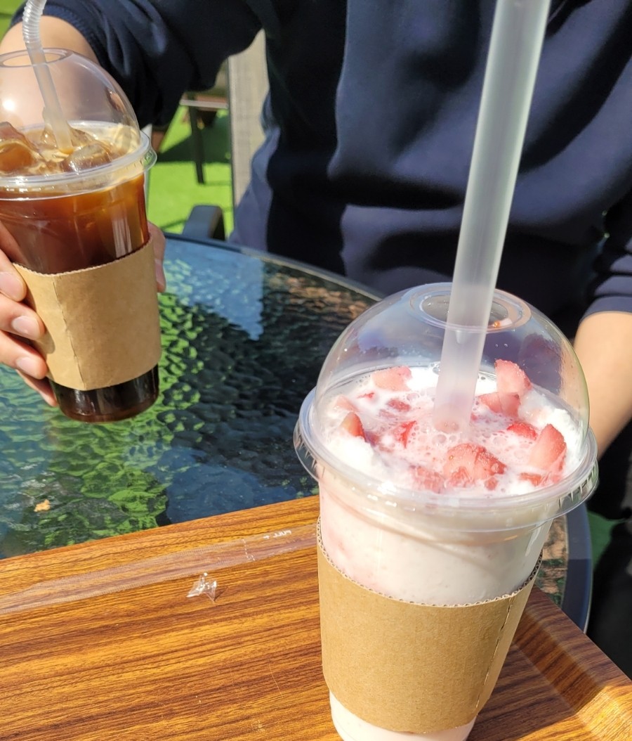 르볼 이미지
