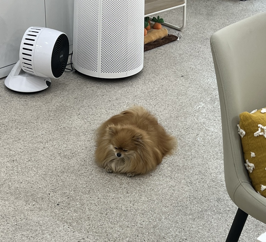 곰팅이네일 이미지