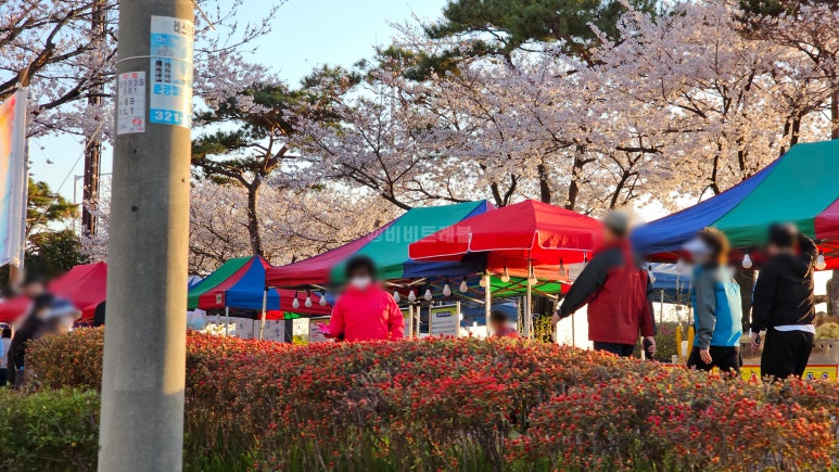 낙동장터 이미지