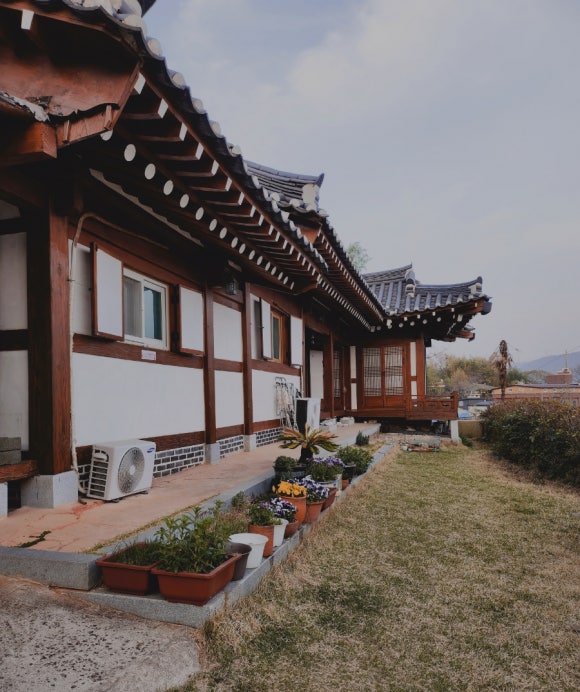 하울당 이미지