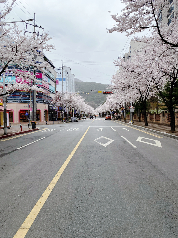 토산지한식뷔페 이미지