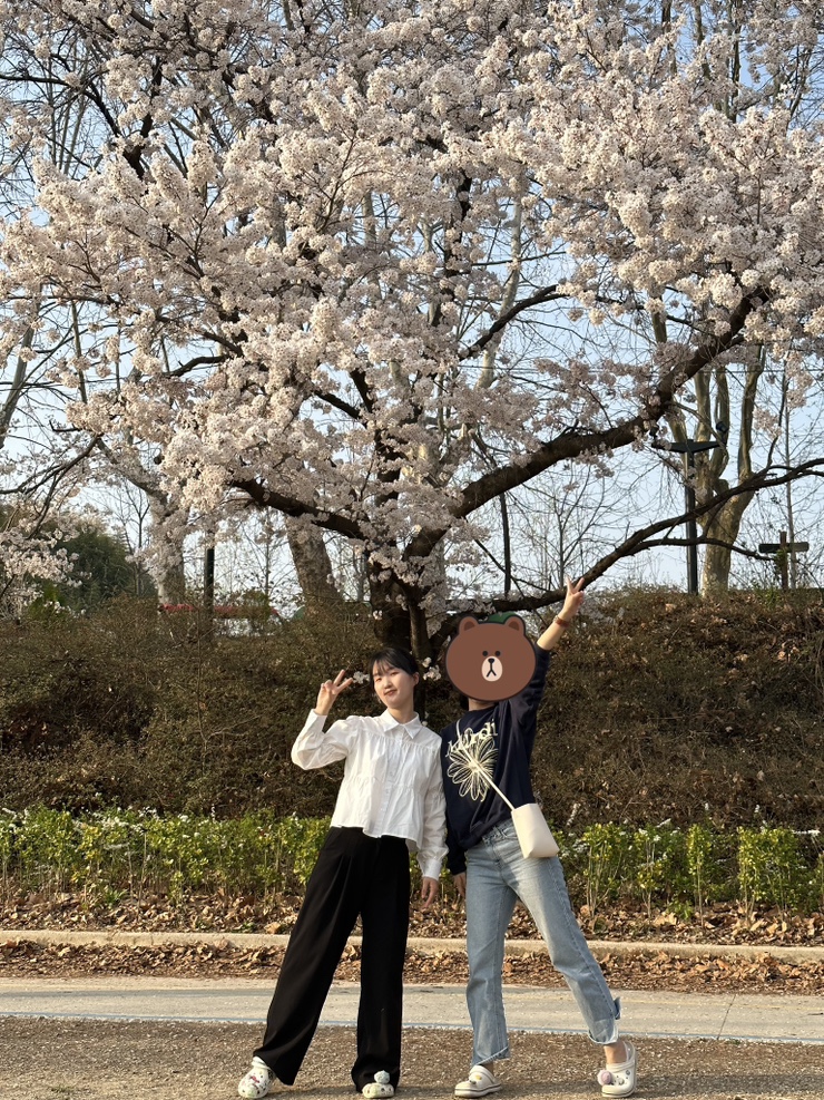 담양돗자리 이미지
