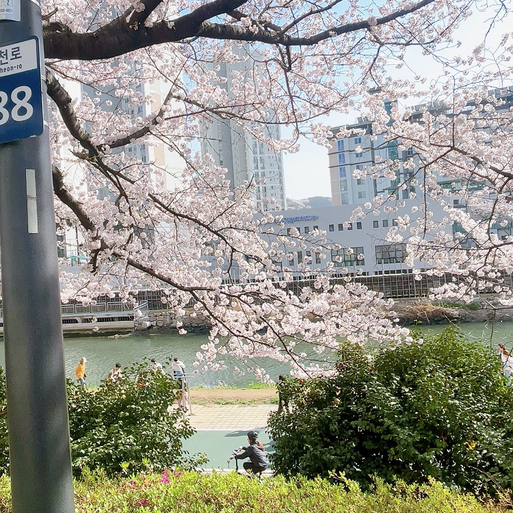 사랑했닭 이미지