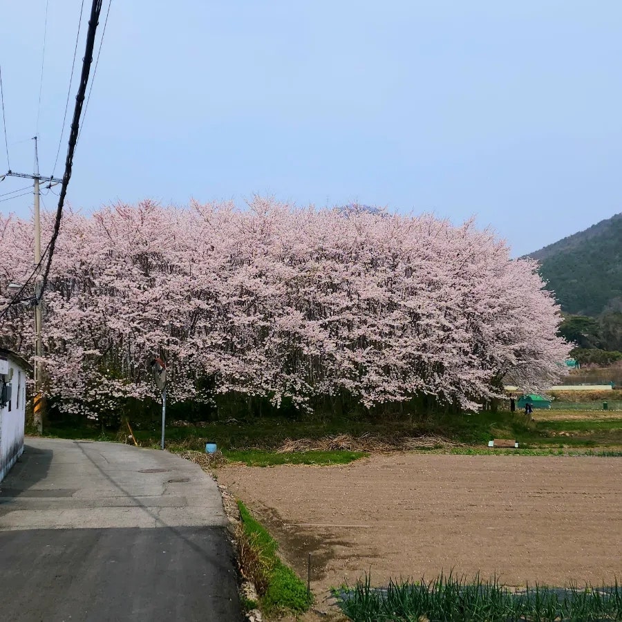 창성상사 이미지