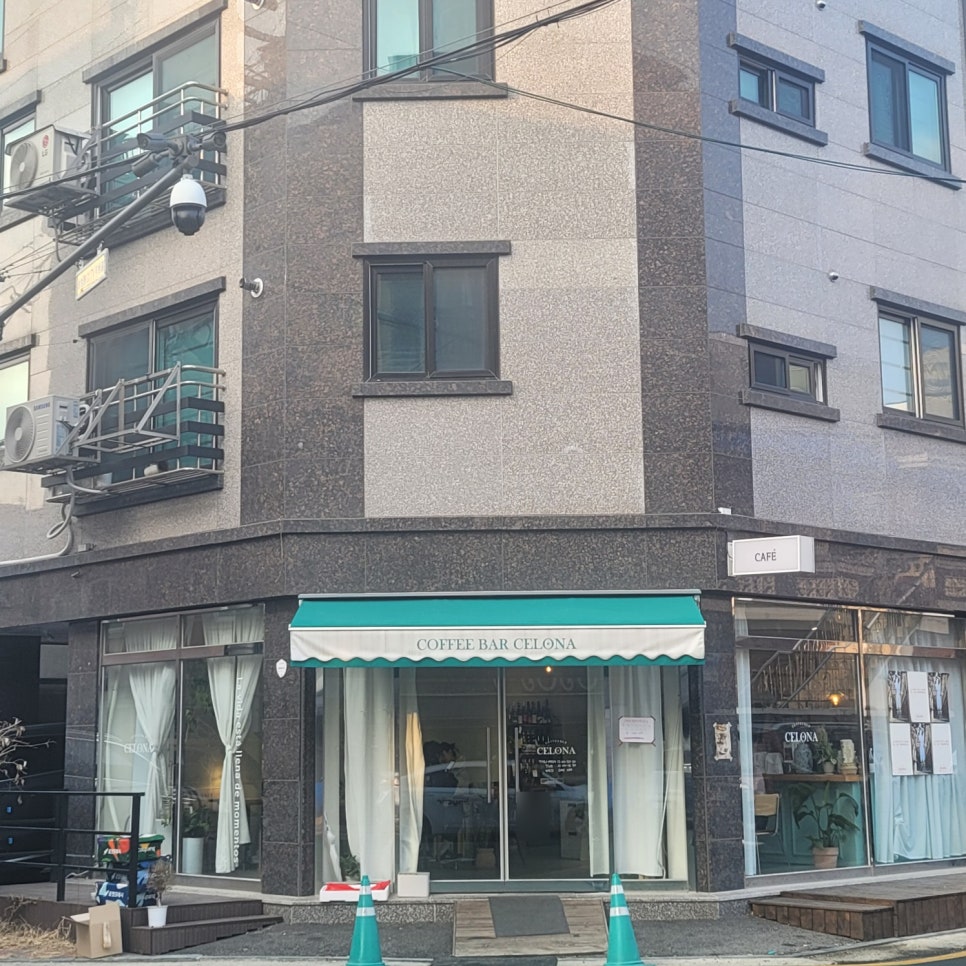 셀로나(Celona) 이미지