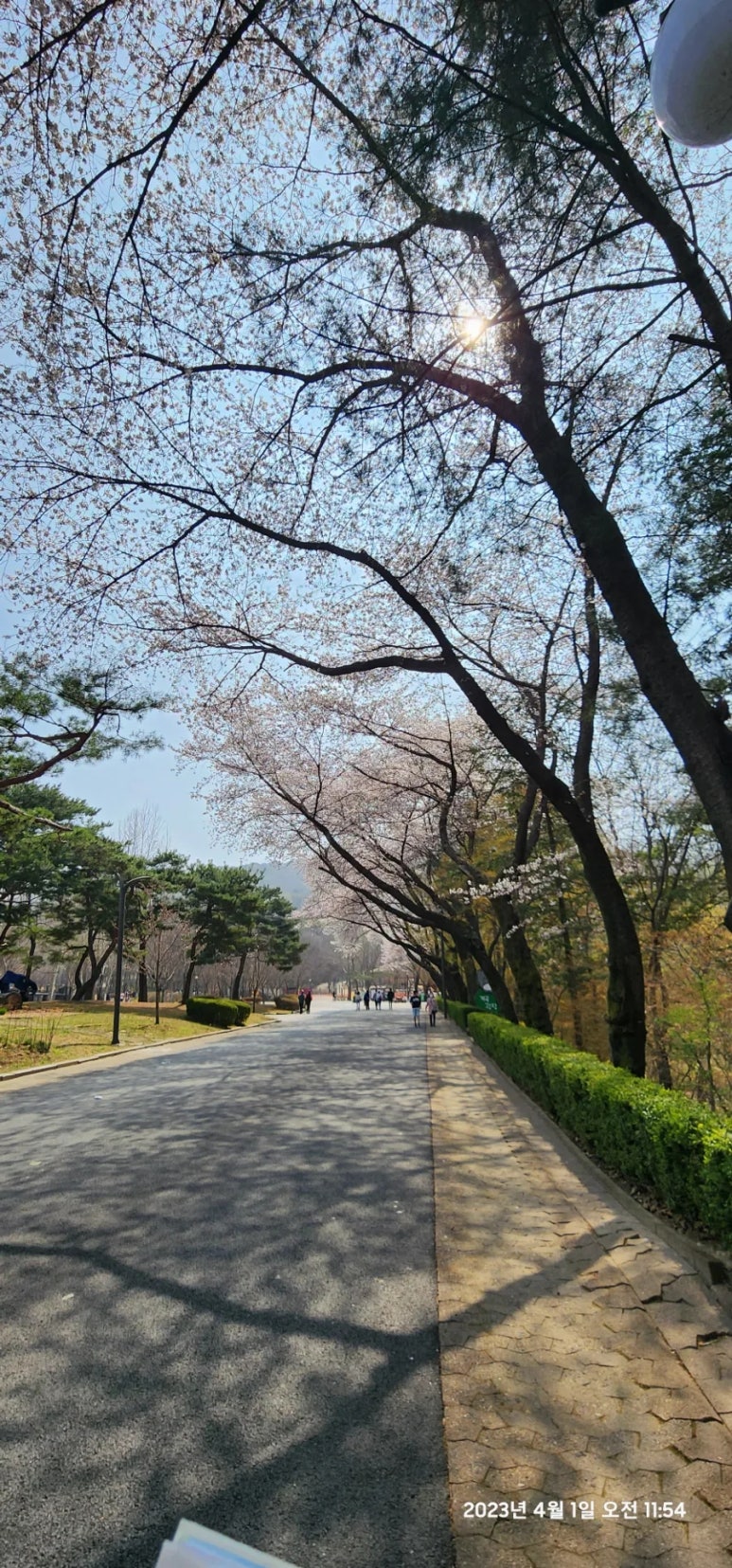 코끼리냉면 이미지