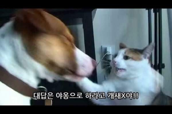 카페 인사이트 이미지