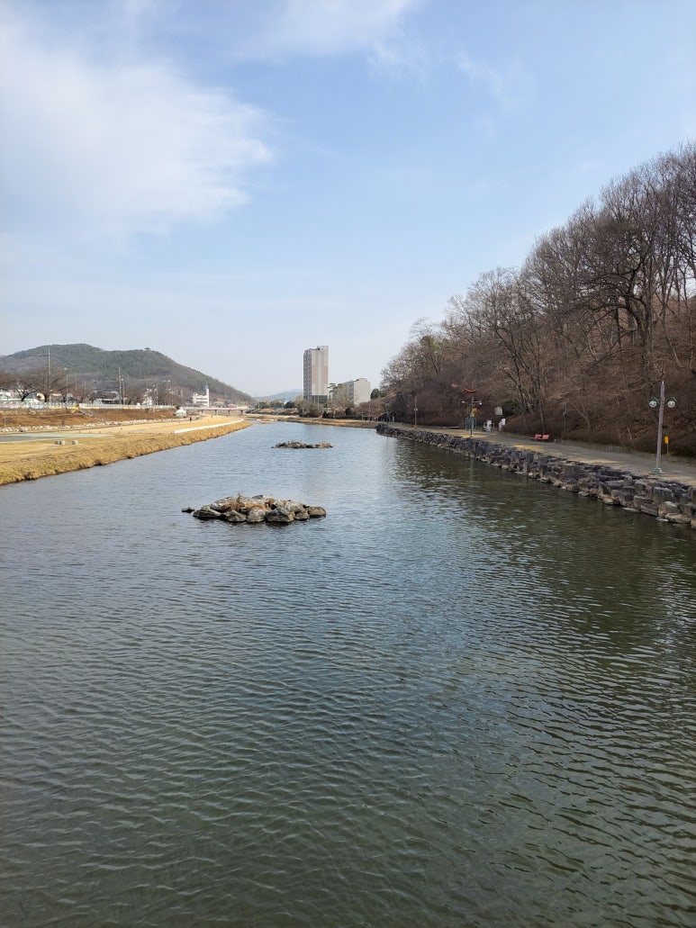 백세건강마트 이미지
