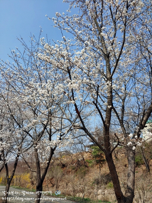 카페복포리 이미지