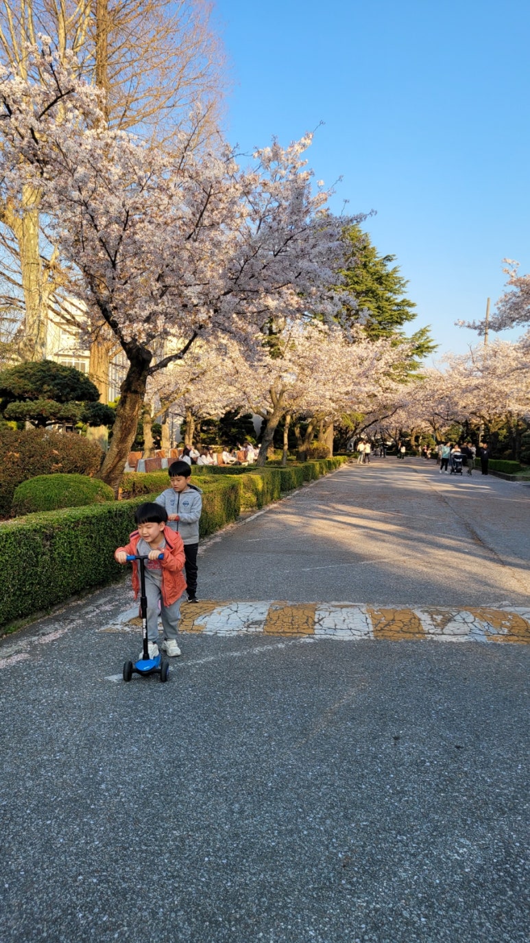 떡두껍집 이미지