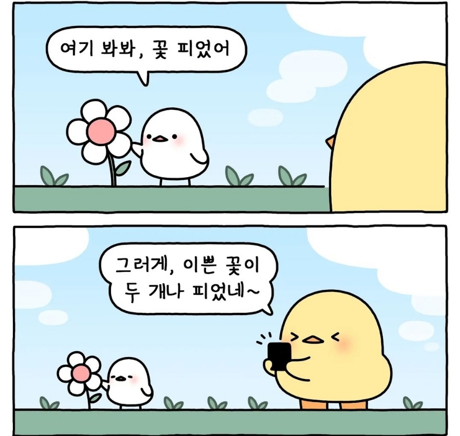 너란, 꽃 이미지