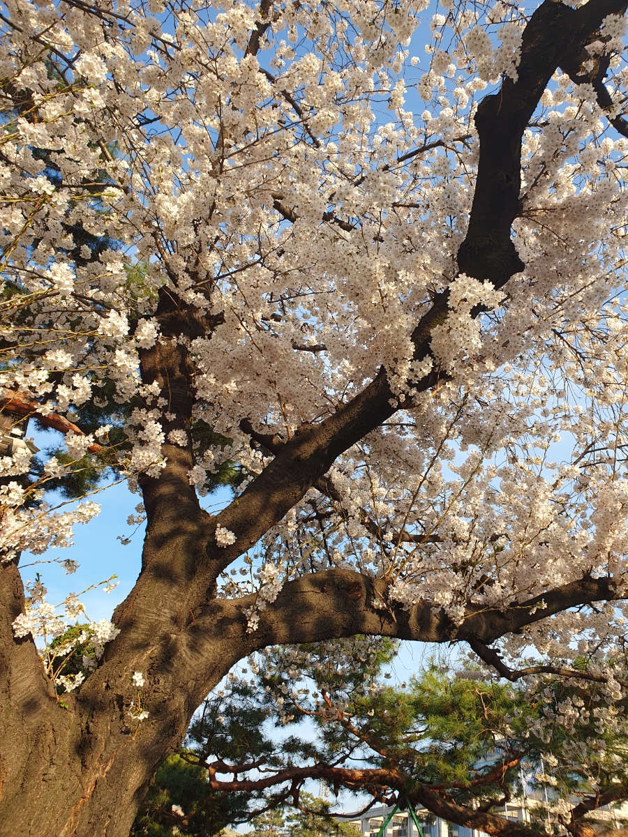 산성텔레콤 이미지