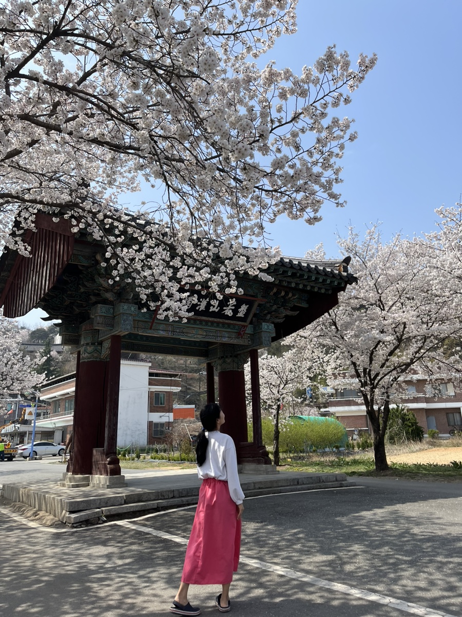노성반점 이미지